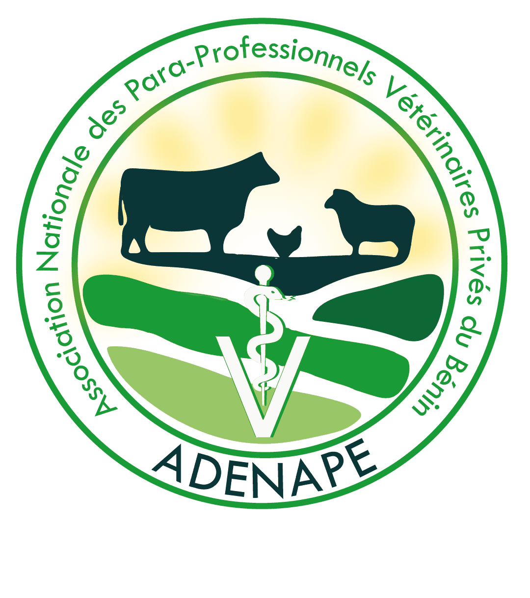 Logo ADENAPE sans fond-4.png