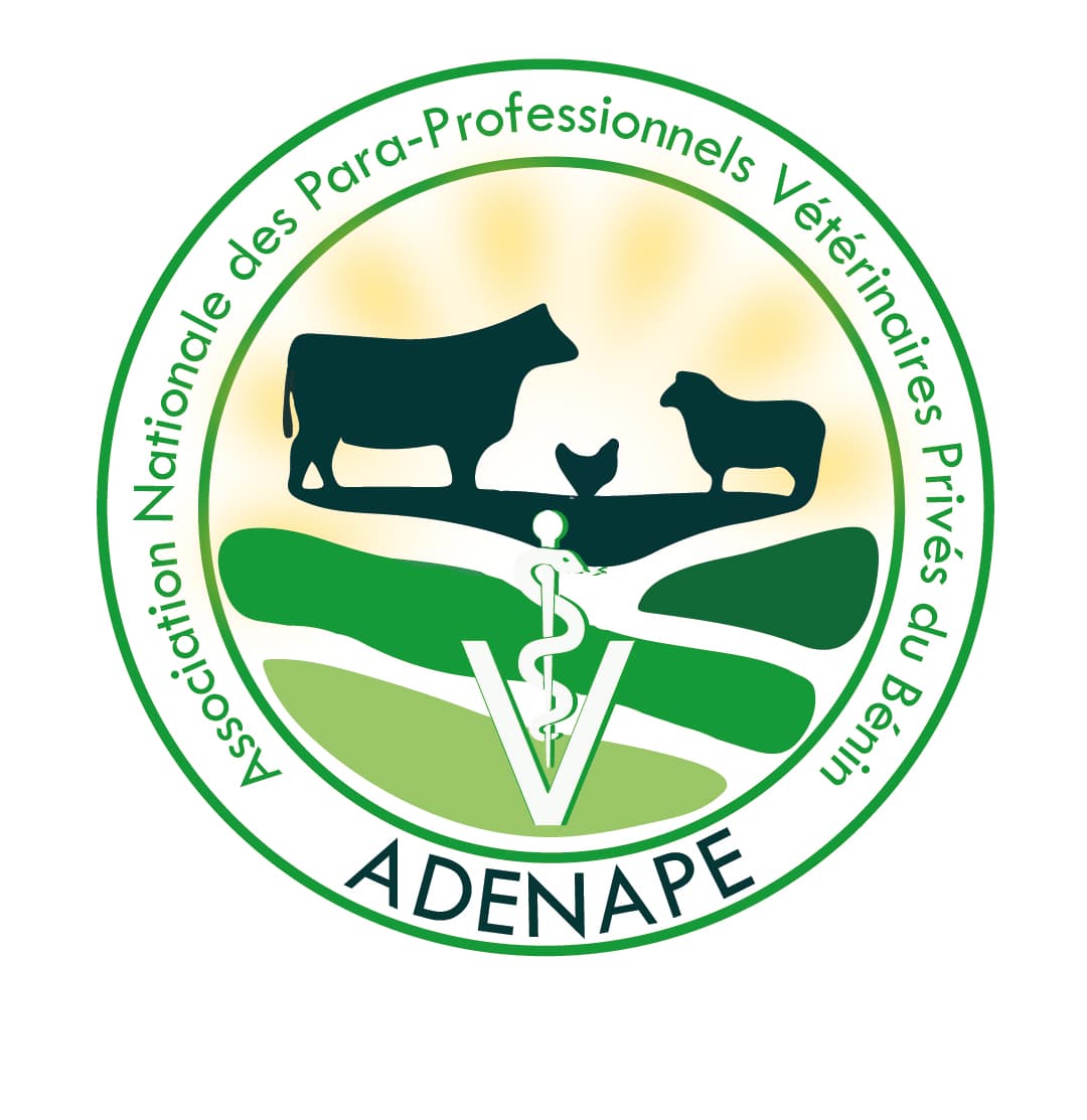 Logo ADENAPE sur fond blanc-2.jpg